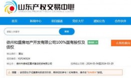 德州市最新爆料消息,揭秘城市变迁背后的故事